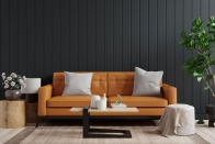 Wall Dark Living Room Interior