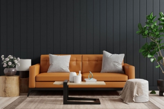 Wall Dark Living Room Interior